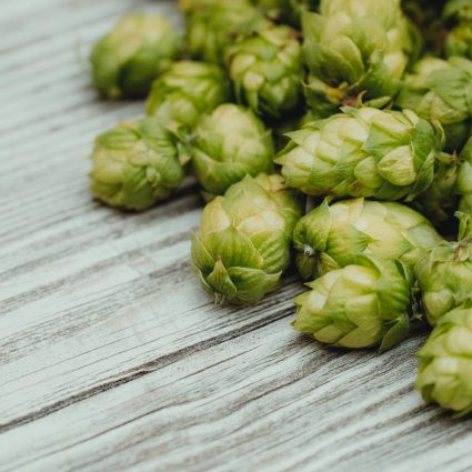 Houblon Houblon